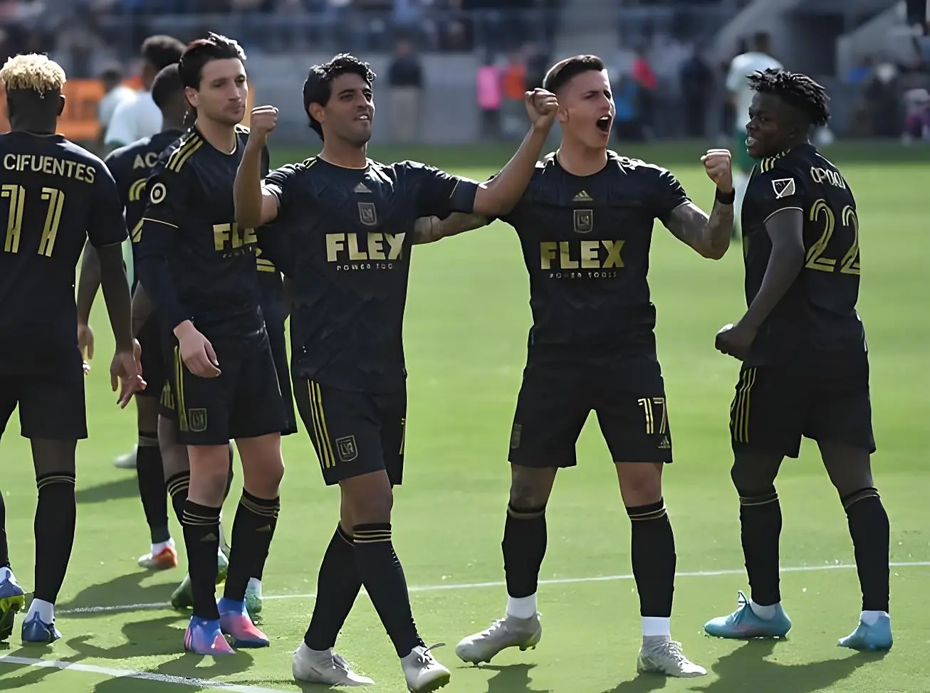 乐部的体量 乐部的体量